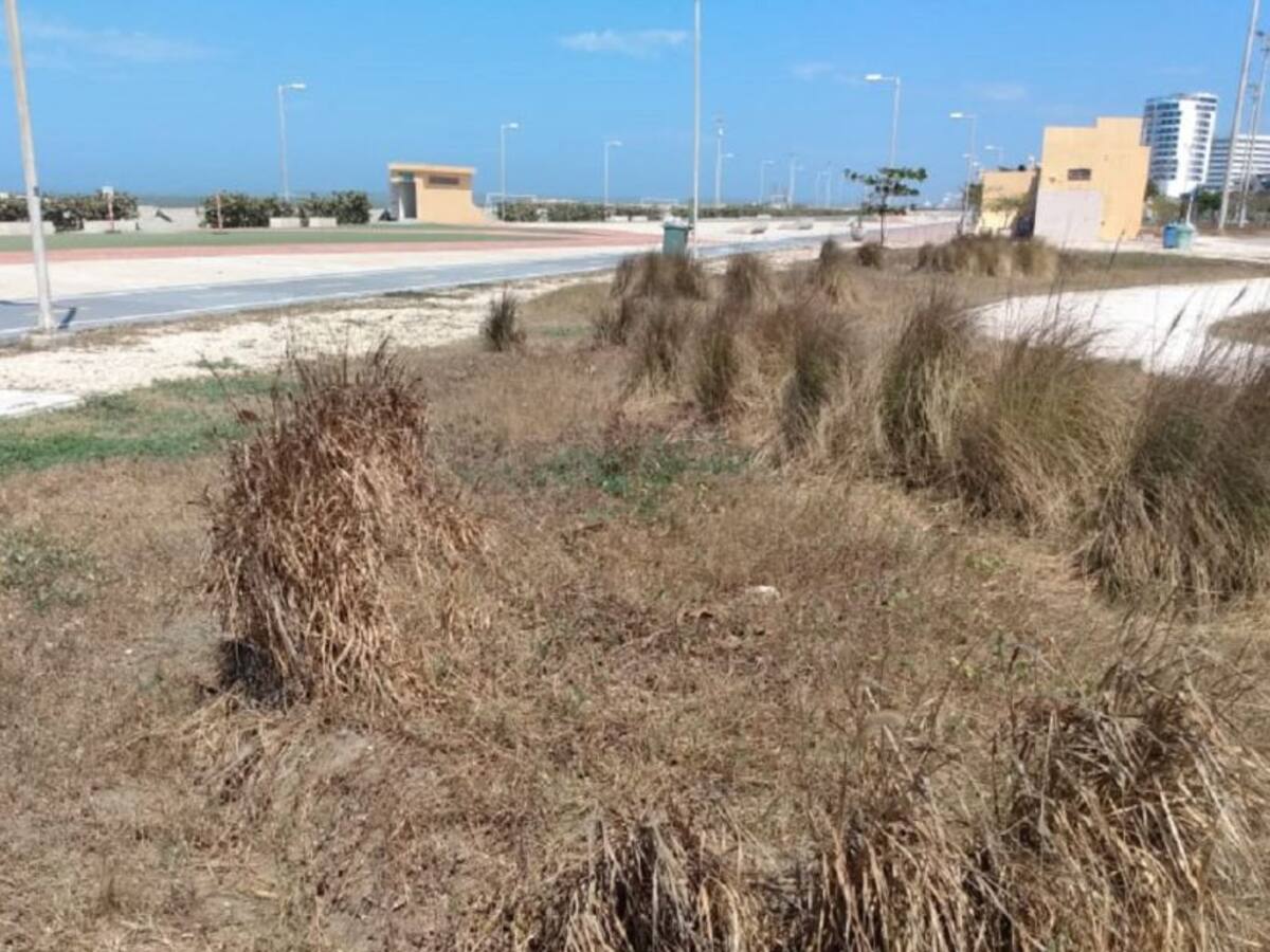 Denuncian descuido en el parque lineal de Crespo en Cartagena