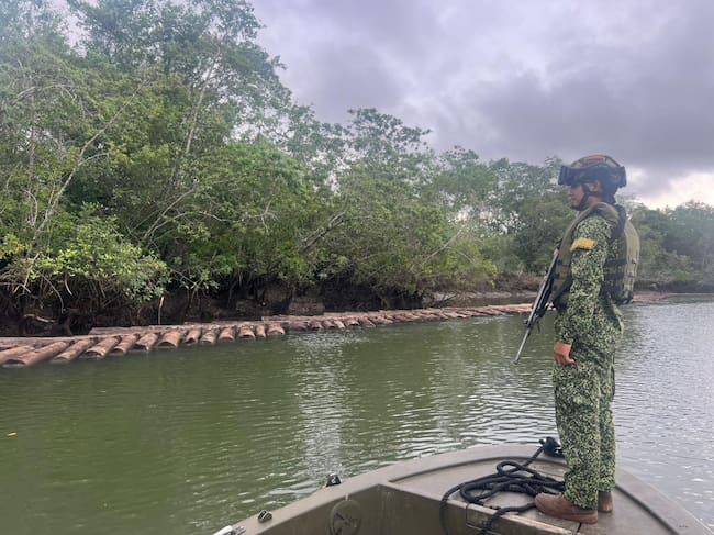 Madera incautada en tráfico ilegal en Chocó. Foto: Armada Nacional.
