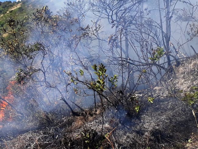 Incendio forestal fuera de control en Tolima