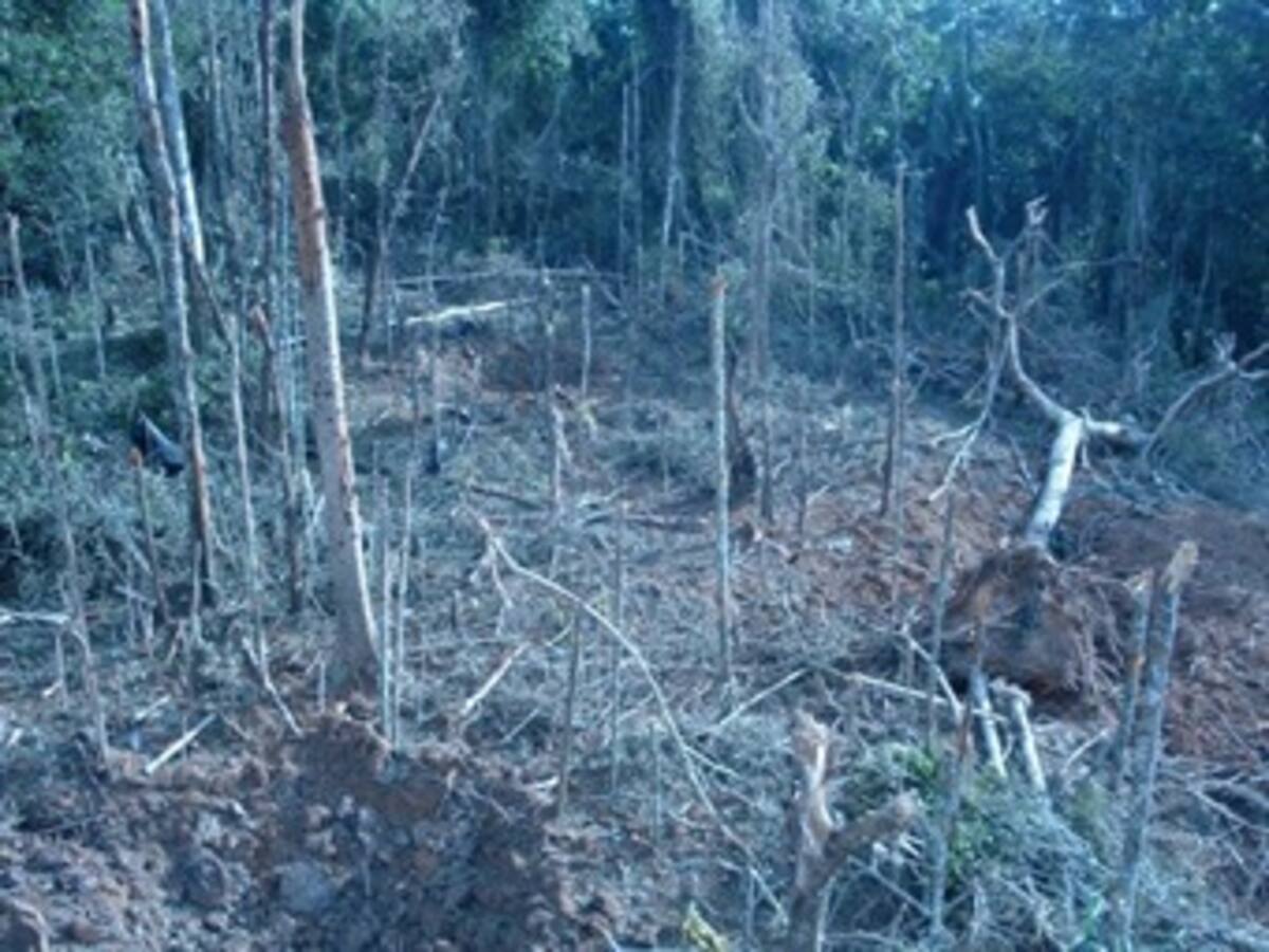 Fuerzas Militares asestan duro golpe a la estructura de base de las Farc