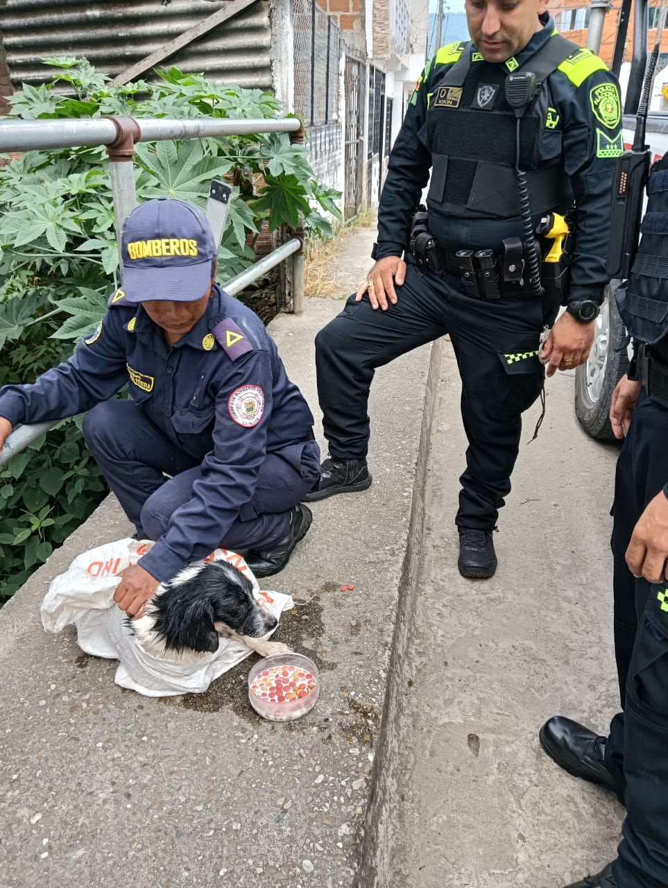 Bomberos y Policía, rescataron canino que fue lanzado al rio. Foto Bomberos La Plata.