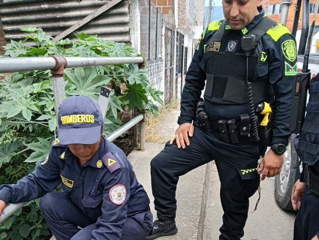 Bomberos y Policía, rescataron canino que fue lanzado al rio. Foto Bomberos La Plata.