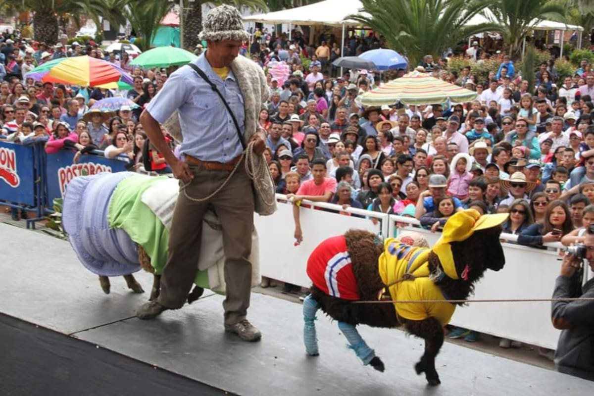 Pasarela del reinado de Ovejas en Nobsa, Boyacá.
