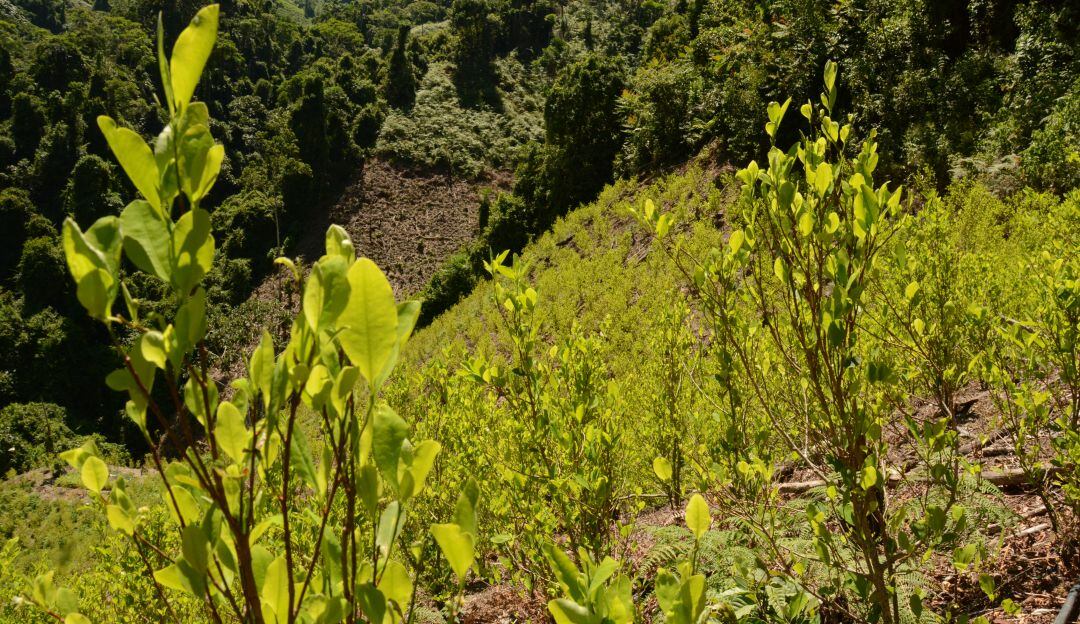 Imagen de referencia.