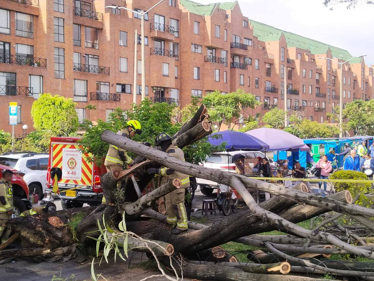 Caída de árbol en la Autopista Norte dejó tres personas heridas y generó caos vehicular