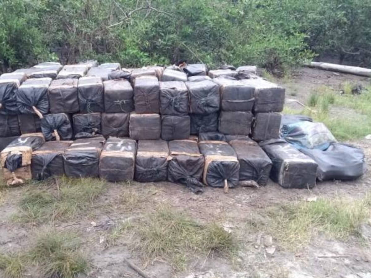 Decomisan dos toneladas de droga a estructura de alias 'Guacho'