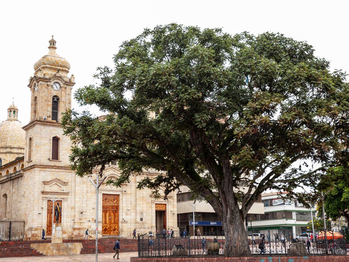 Ciudades intermedias: un diálogo clave para el desarrollo regional