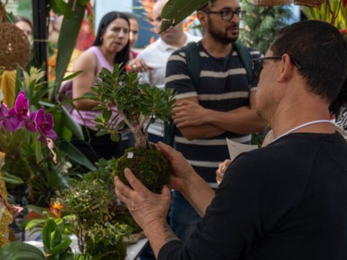 El Quindío se llena este fin de semana de flores y plantas con el festival “Filandia Un Solo Jardín”