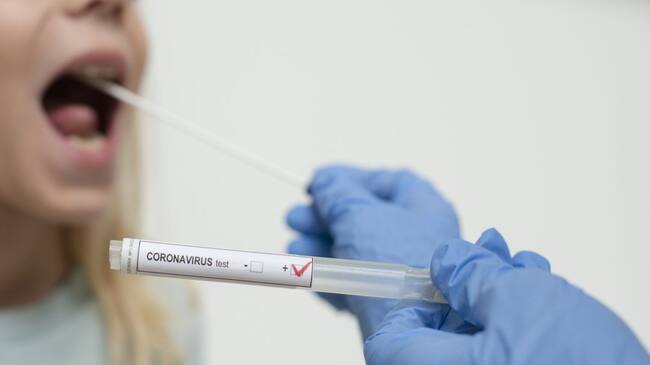 imagen de referencia