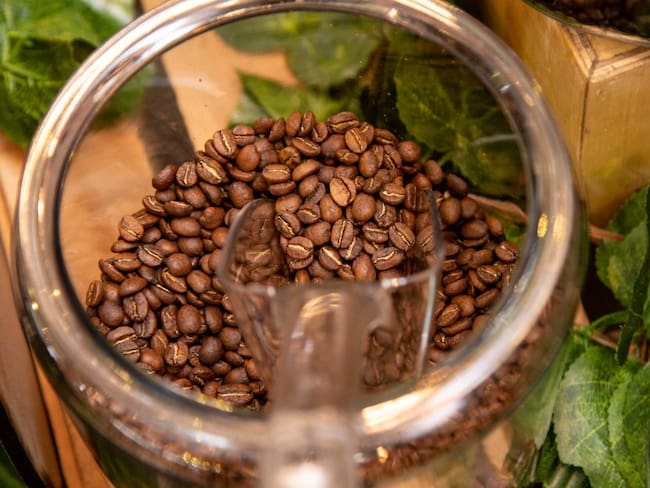 Café de Sacramento de la Sierra Nevada se exportará a Panamá