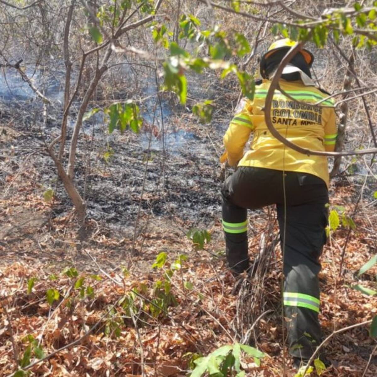 Doce hectáreas fueron consumidas por incendio forestal en Bonda