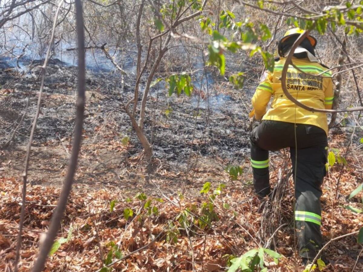 Doce hectáreas fueron consumidas por incendio forestal en Bonda