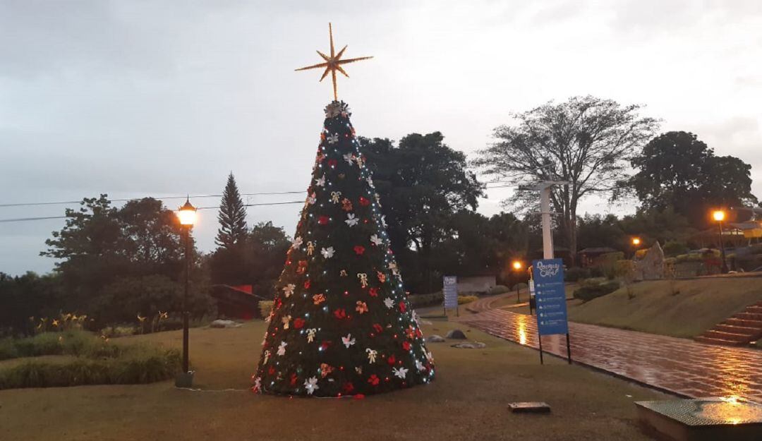 Arbolito de navidad que hace parte del alumbrado en el Parque del Café