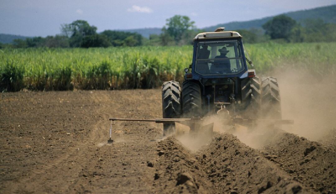 Agricultores preocupados por alzas en fertilizantes y fletes