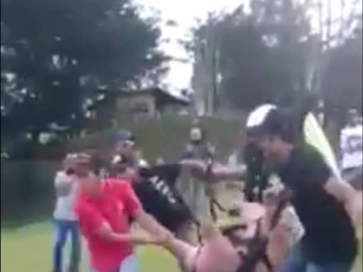 Indignación en Antioquia por video donde lanzan a un cerdo de un parapente