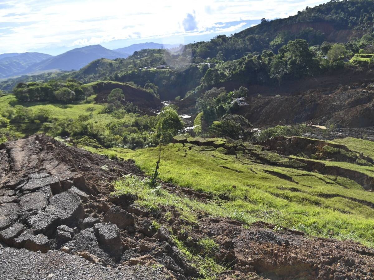 Reportan pérdidas por más de un billón de pesos por emergencia en Rosas, Cauca
