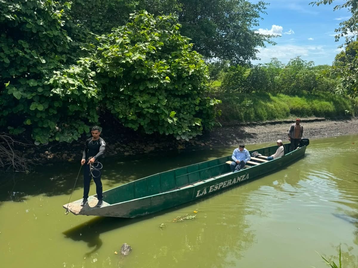 Autoridades ambientales investigan mortandad de peces en San Zenón, Magdalena
