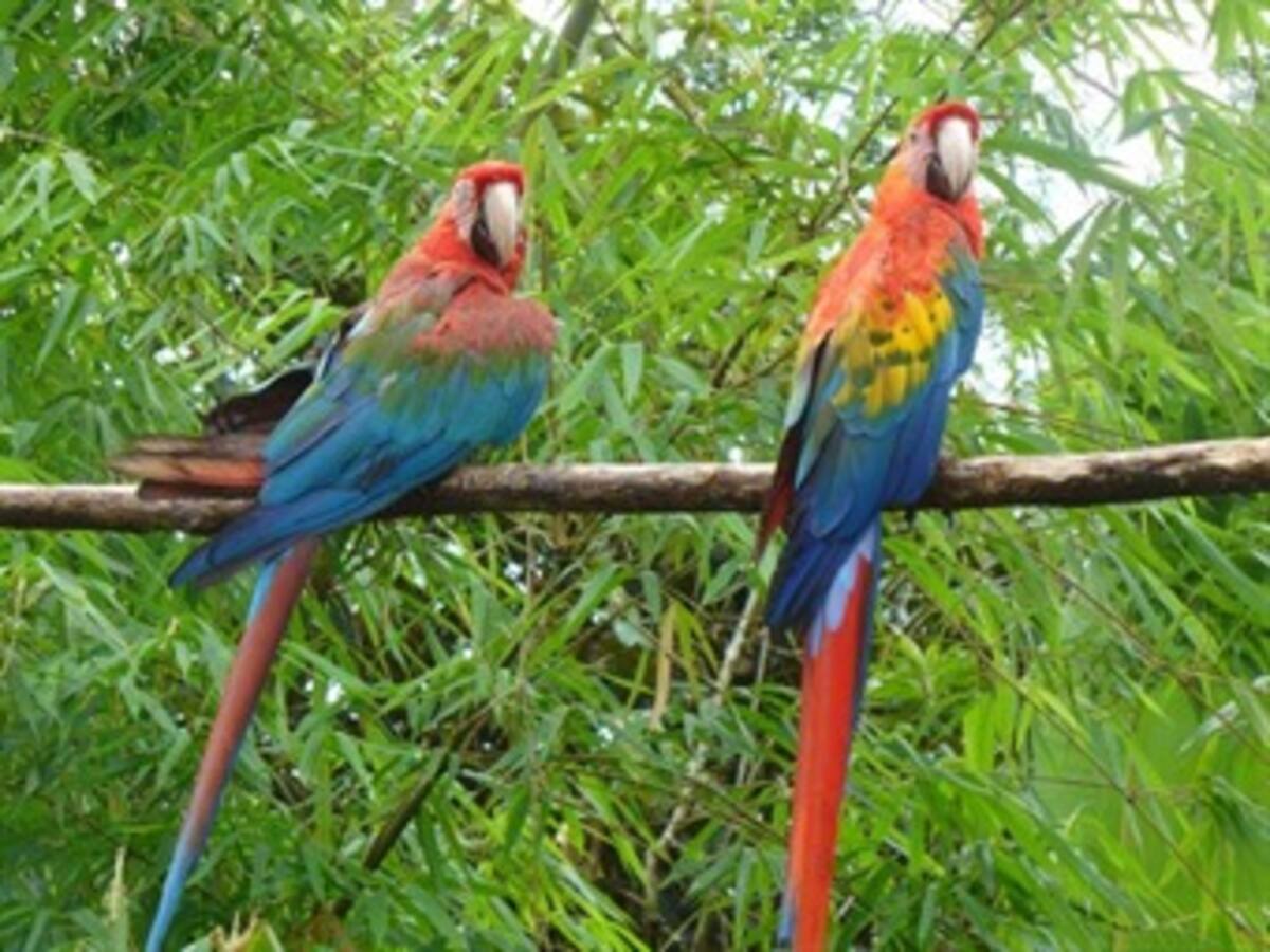 Culminó la XIII Feria de la Ecología y el Medio Ambiente de la UN