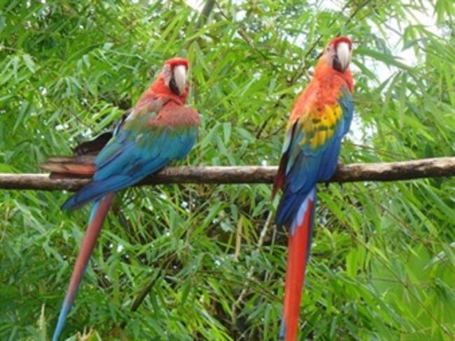 Culminó la XIII Feria de la Ecología y el Medio Ambiente de la UN