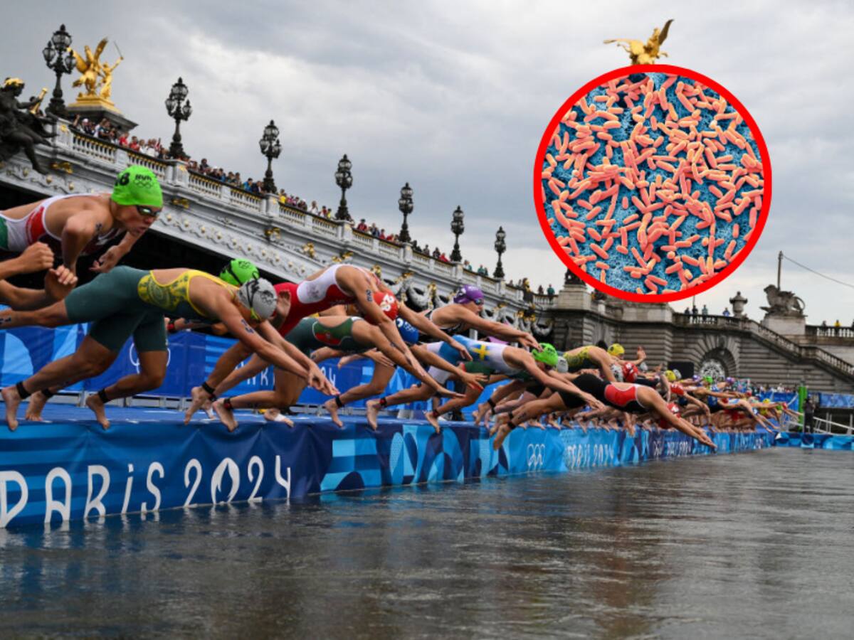 Esta es la bacteria E. coli que adquirió atleta belga al nadar en Río Sena: ¿Es peligrosa?