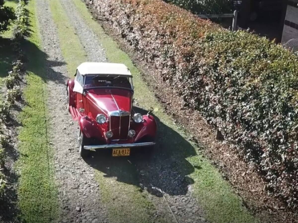 'El coleccionista, pasión por los autos clásicos'