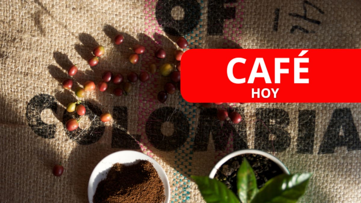 ¿Sigue bajando? Precio café HOY 25 de julio: valor carga, según Federación de Cafeteros