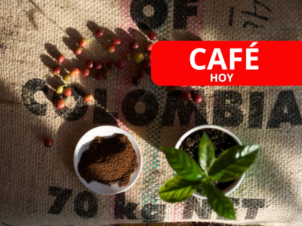 ¡Empezó la semana a la baja! Precio de la carga de café en Colombia HOY 29 de septiembre, según FNC