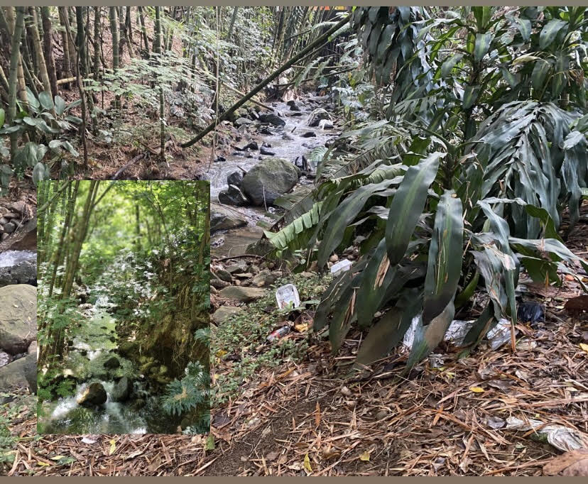 Estado actual de la quebrada La Presidenta en contraste con la fotografía que mostró el alcalde Quintero con el texto: "Provenza-Medellín".