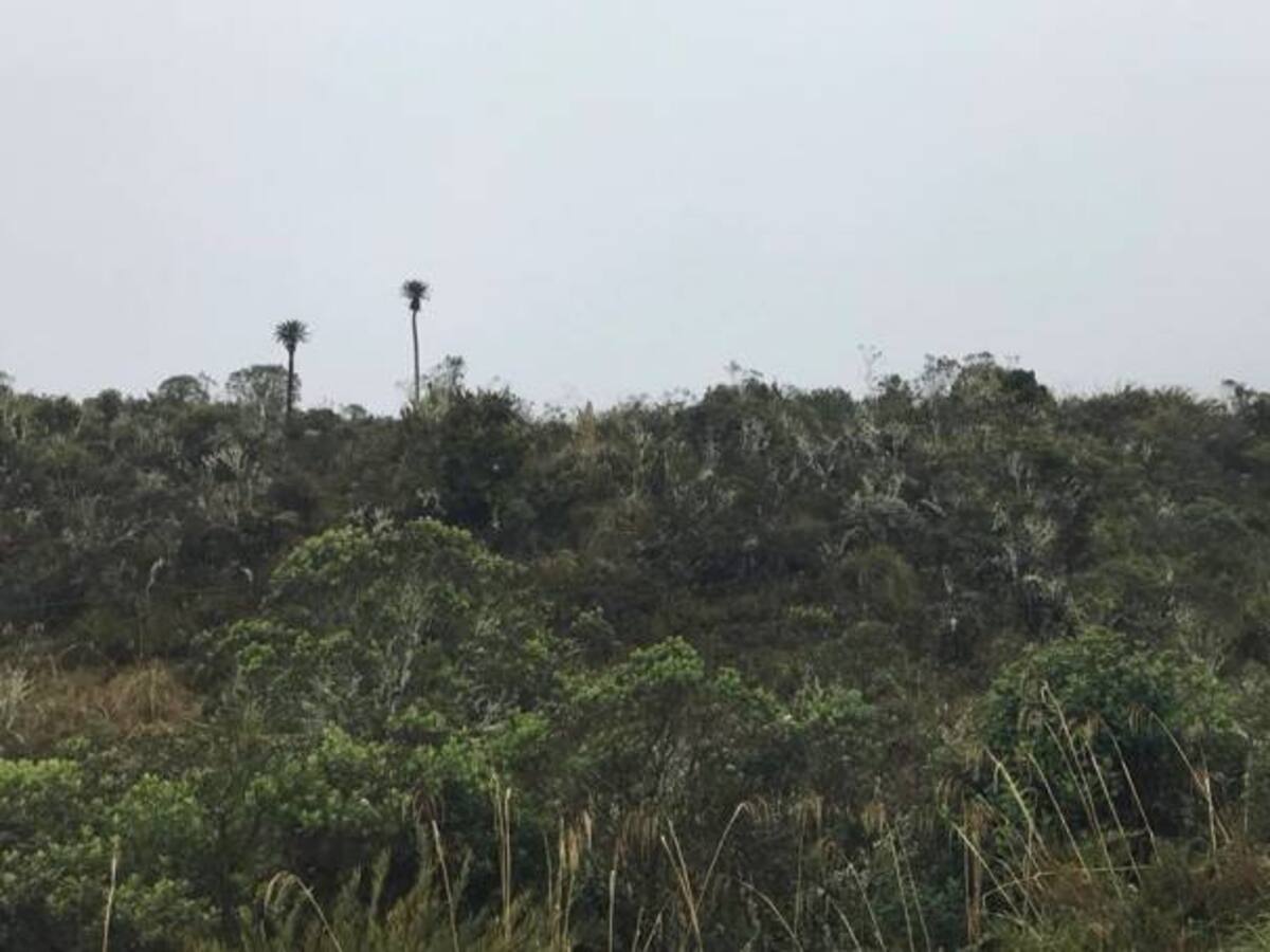 Conozca la nueva ley para la protección de los páramos