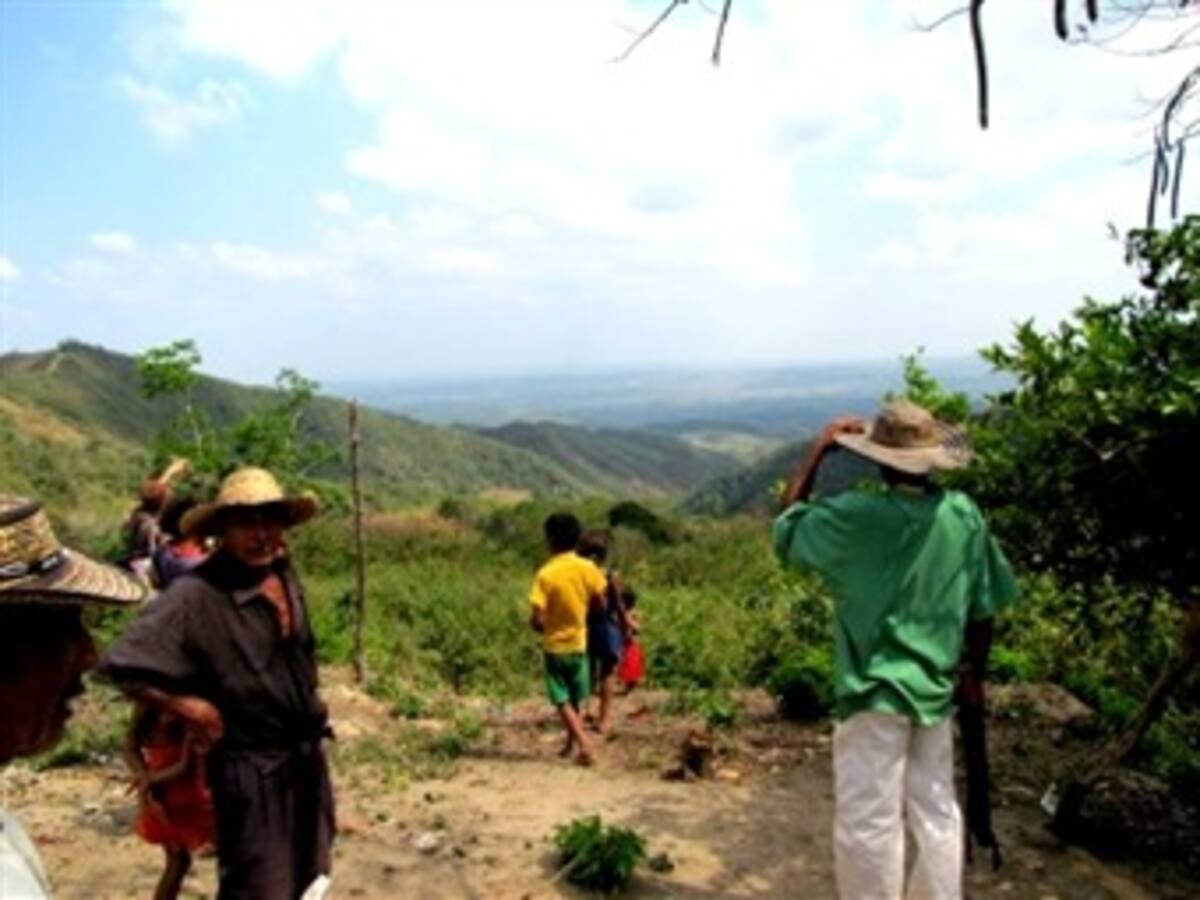 Desplazados comenzaron a reclamar tierras. El 38% estaban en poder de las Farc y el ELN