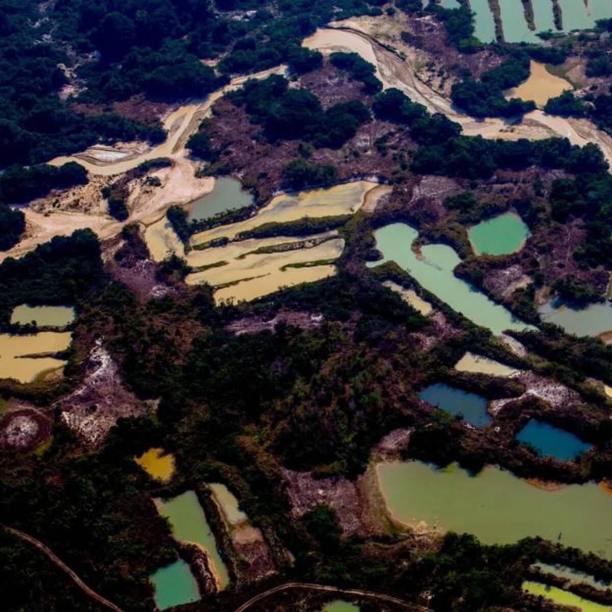 Corte suspende trámite de licencias ambientales en la Amazonía por riesgo de mercurio para indígenas