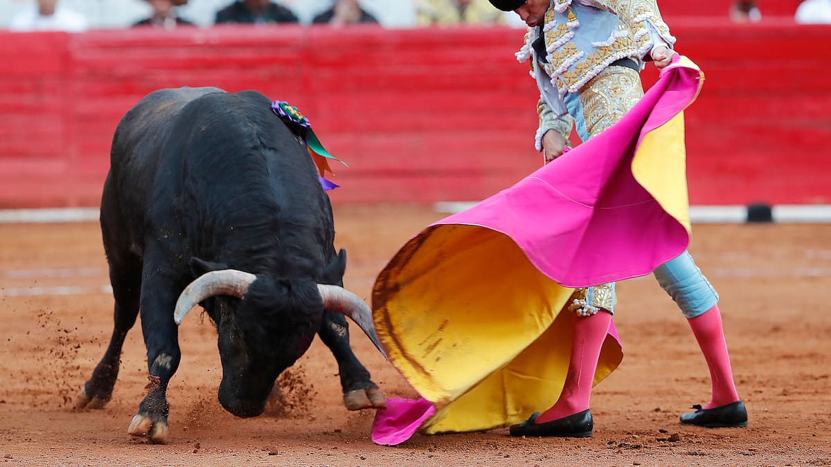 Alcalde de Barbosa, Marco Cortés