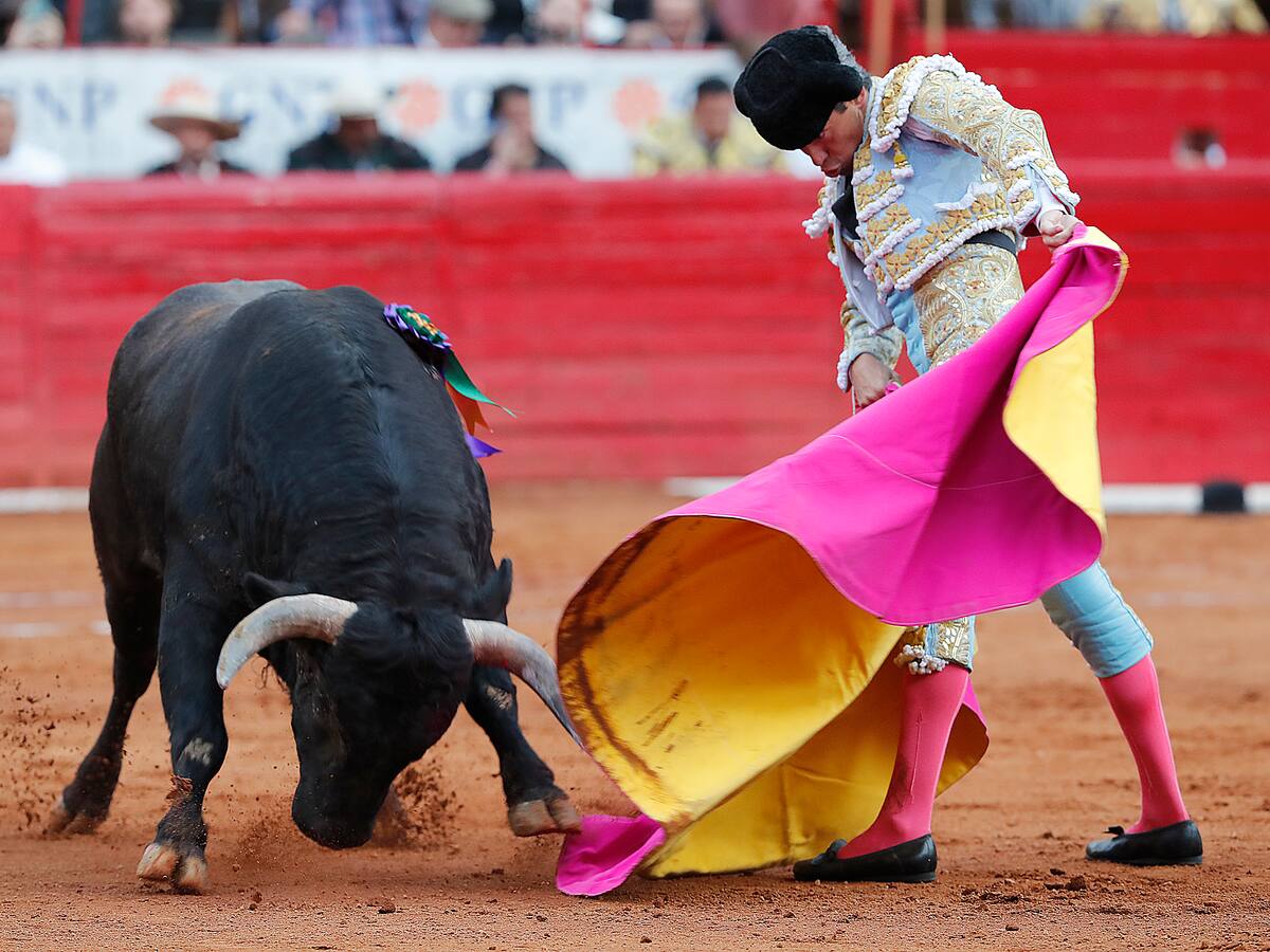 Corridas de toros en Barbosa siguen en pie para el 1 de enero, dice el alcalde