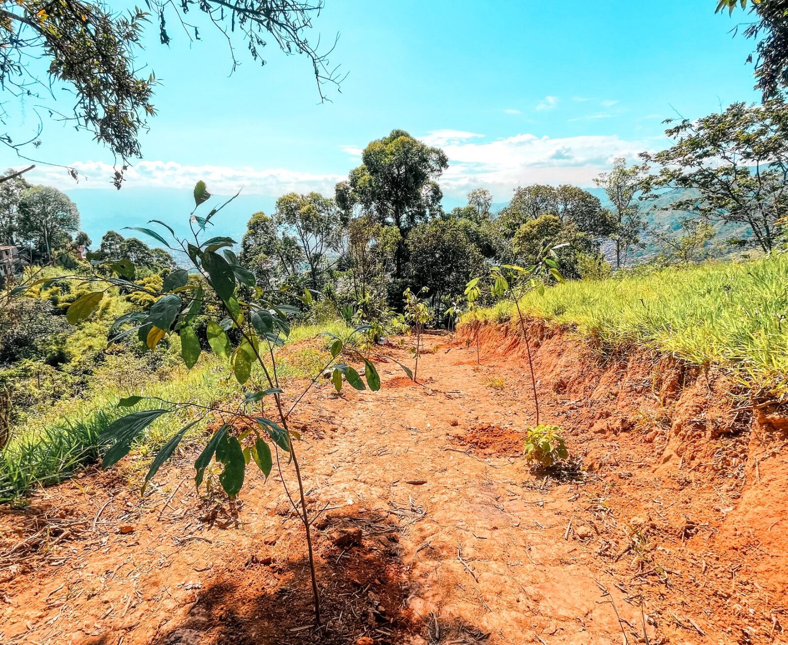 Foto: cortesía alcaldía de Medellín.