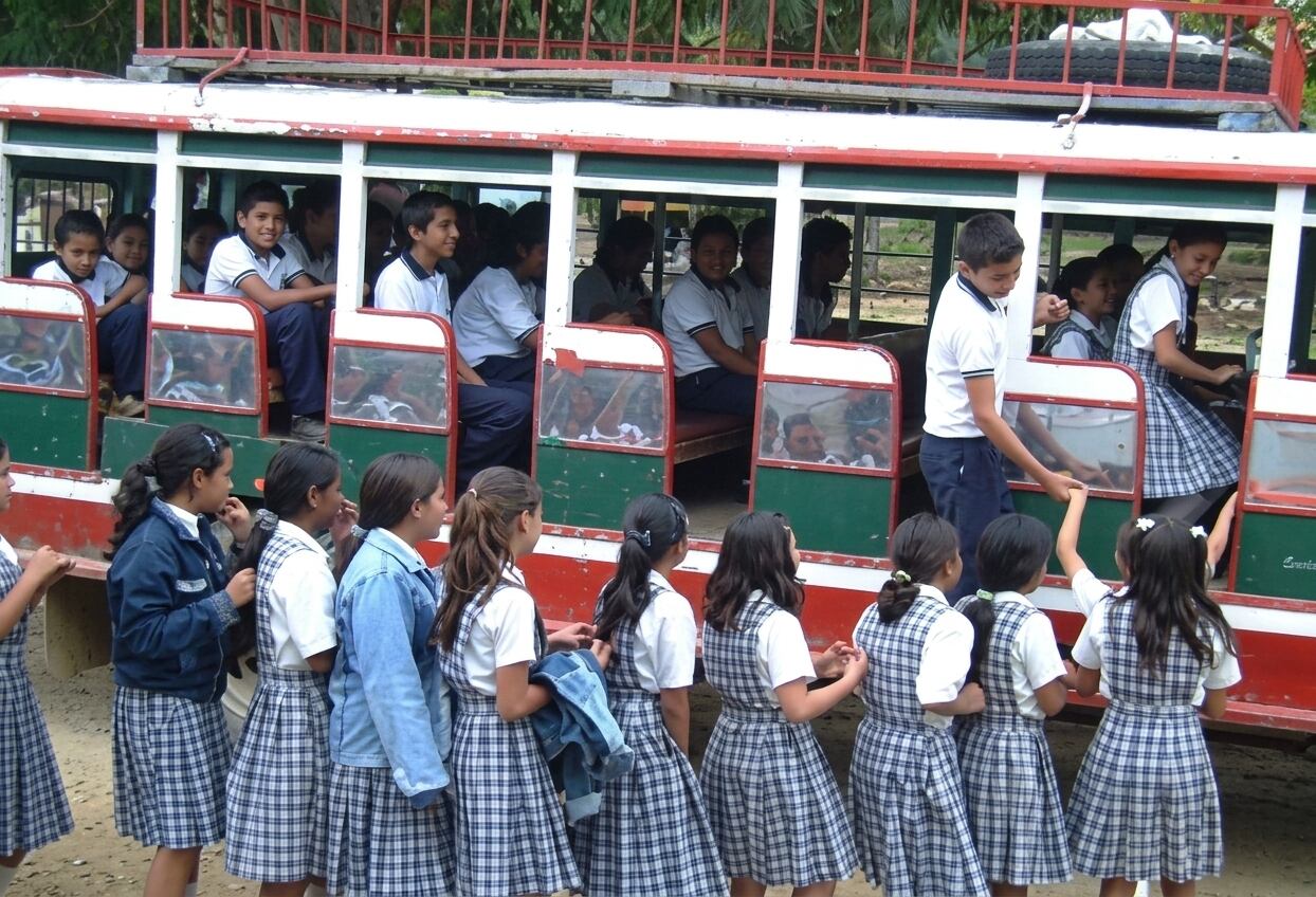 Garantizado el transporte de 16.501 estudiantes a través de 800 rutas escolares. Foto Relacionada