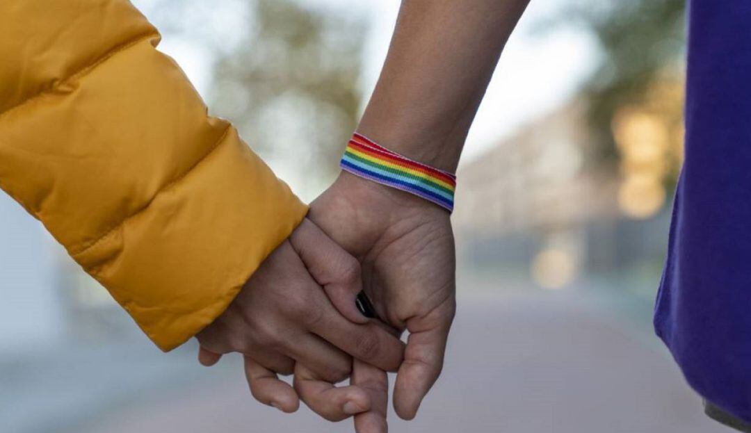 Imagen de referencia 