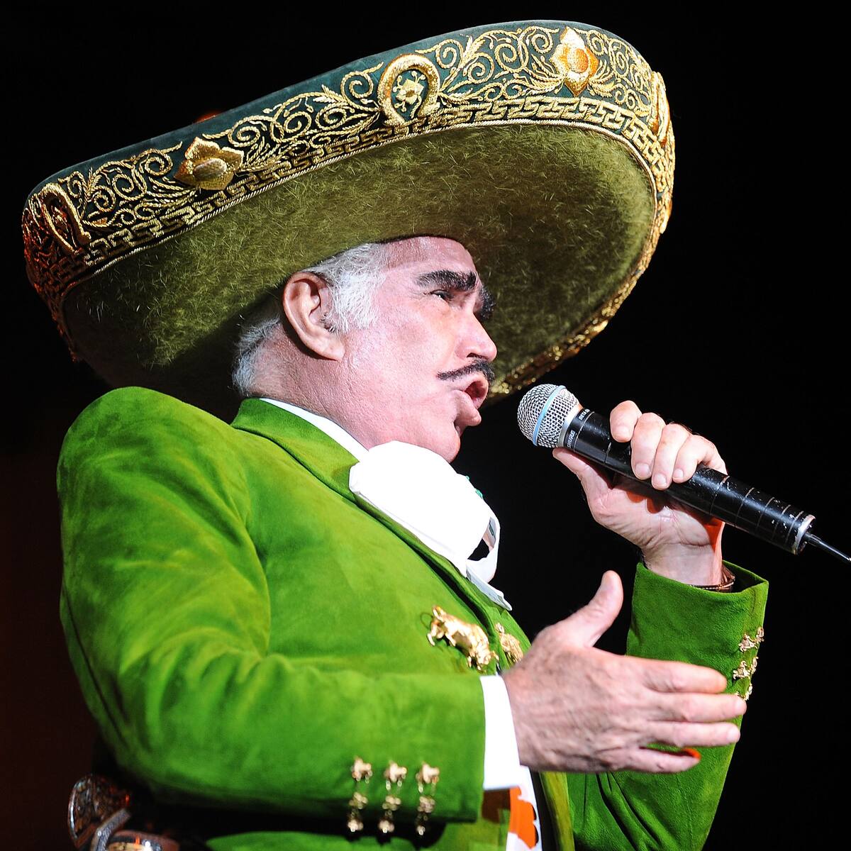 “Es un privilegio hacer la historia de Vicente Fernández”: Catalina Porto, líder de la serie del cantante