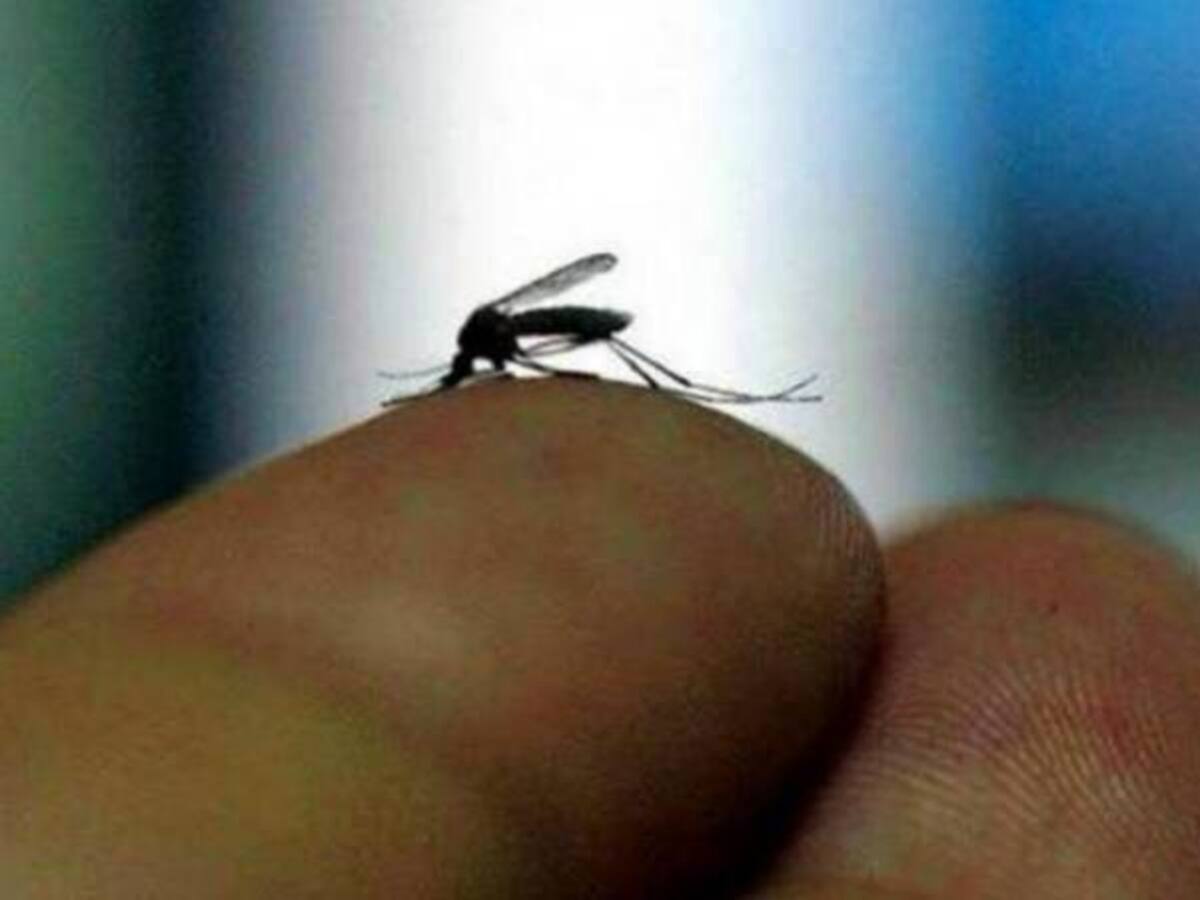 Confirman 32 casos del virus del Zika en San Andrés