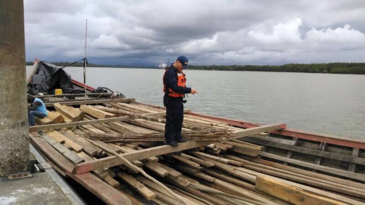 La banda lograba sacar más de 20 toneladas semanales de árboles nativos.