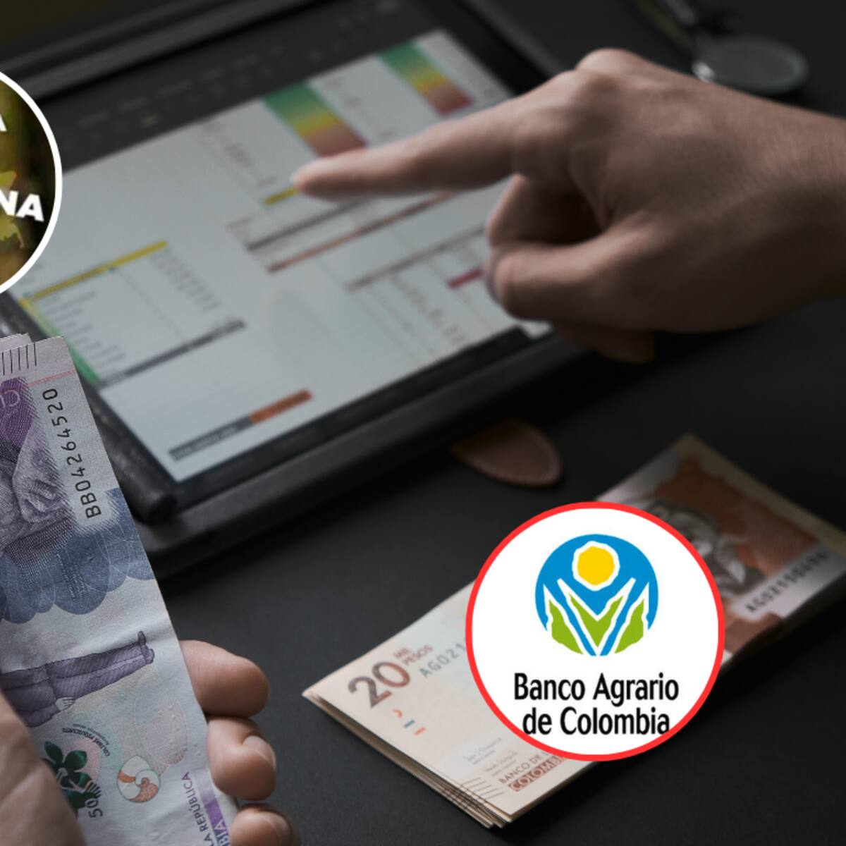 ¿Cómo reclamar la Renta Ciudadana si no tiene cuenta en el Banco Agrario?