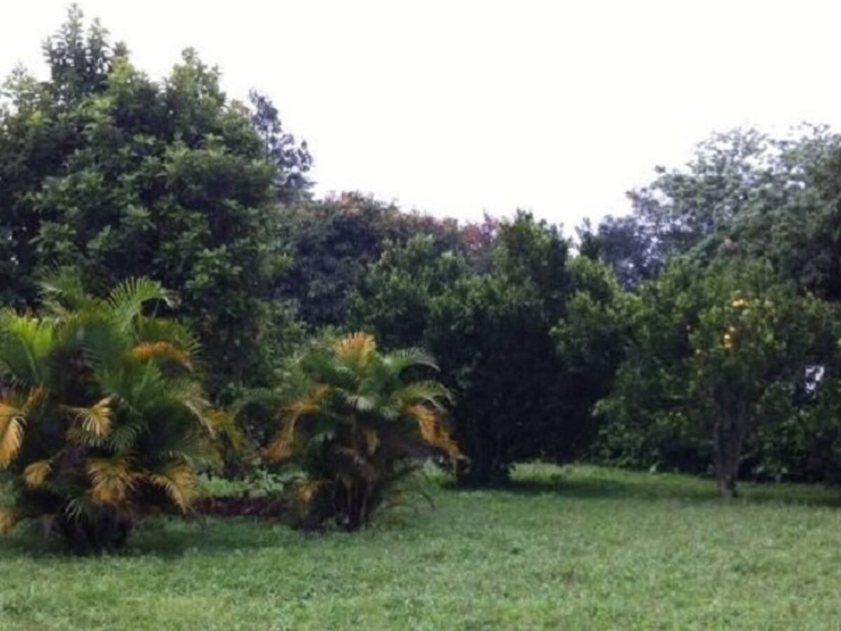 Audios LoMasCaracol martes 04 de octubre