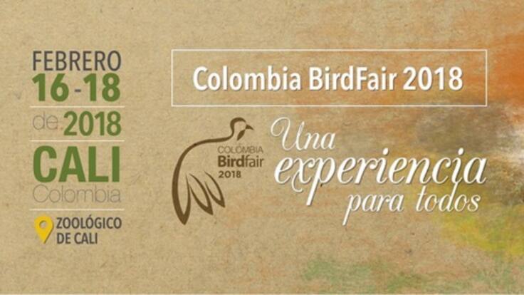 birdfair