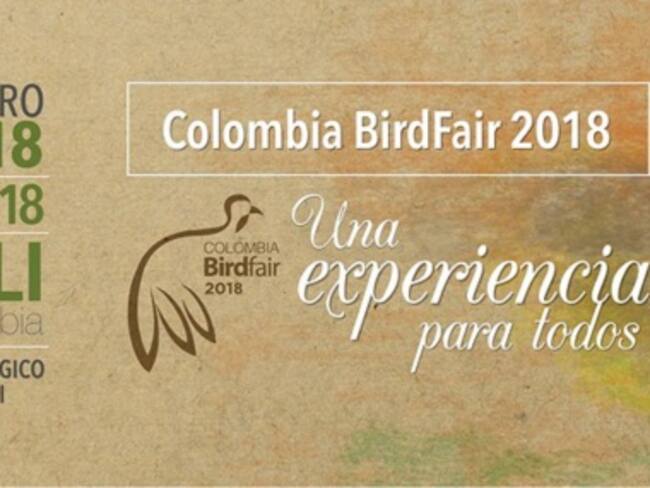 Colombia Bird Fair 2018