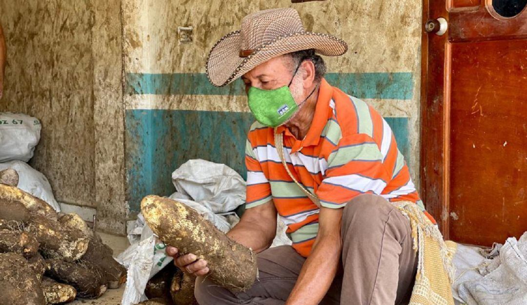 Los campesinos de la Alta Montaña de El Carmen de Bolívar, van a poder comercializar sus productos directamente