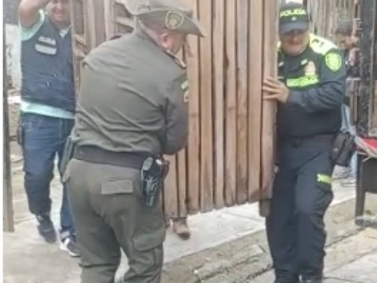 En Armenia intervienen parqueadero que servía como criadero de gallos de pelea