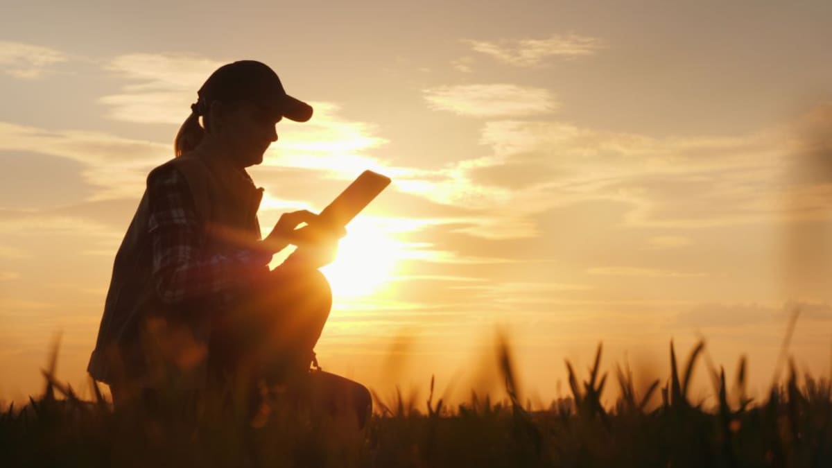 Los agrónomos y su trabajo por una agricultura más ecológica