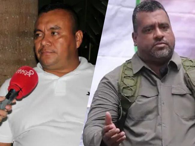 Alias Calarcá y alias Araña