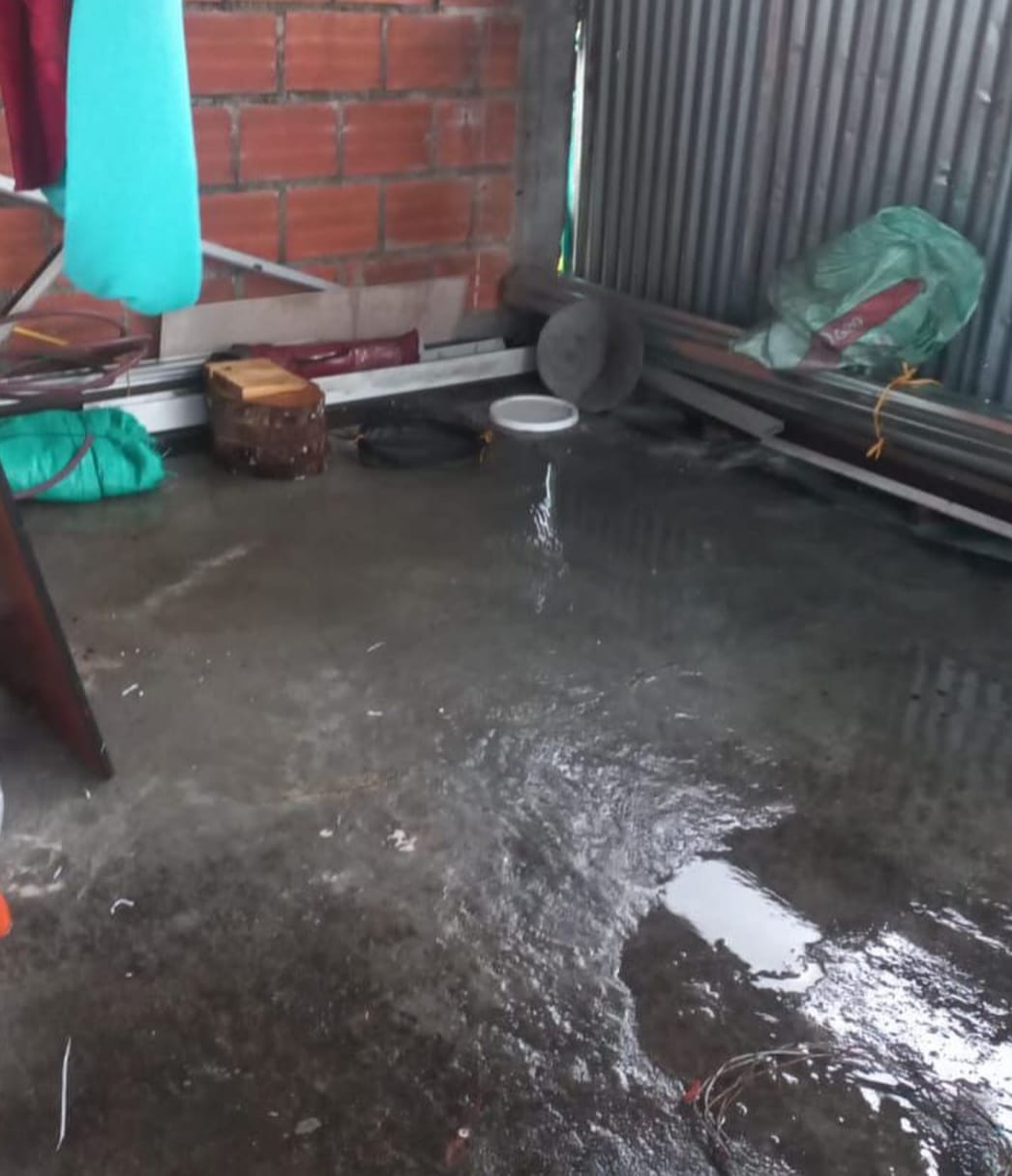 Foto: Secretaría de Medio Ambiente de Caldas.