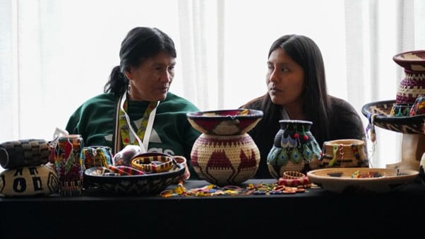 Más de 36.000 familias que fueron afectadas por el conflicto en Colombia, transforman sus territorios en proyectos productivos y ambientales