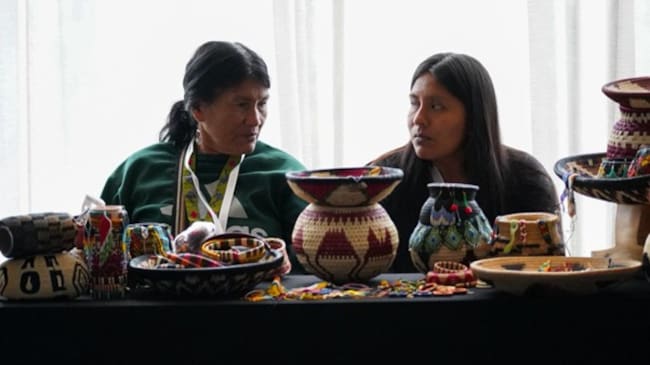 Más de 36.000 familias que fueron afectadas por el conflicto en Colombia, transforman sus territorios en proyectos productivos y ambientales